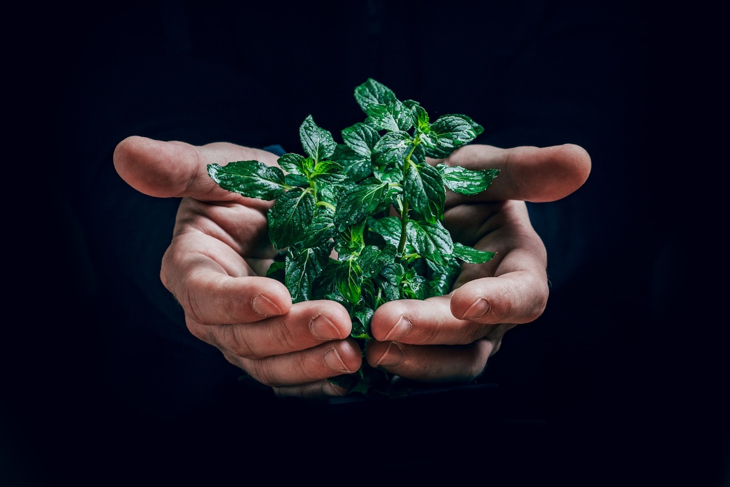 Beneficios de la investigación avanzada en la agricultura moderna