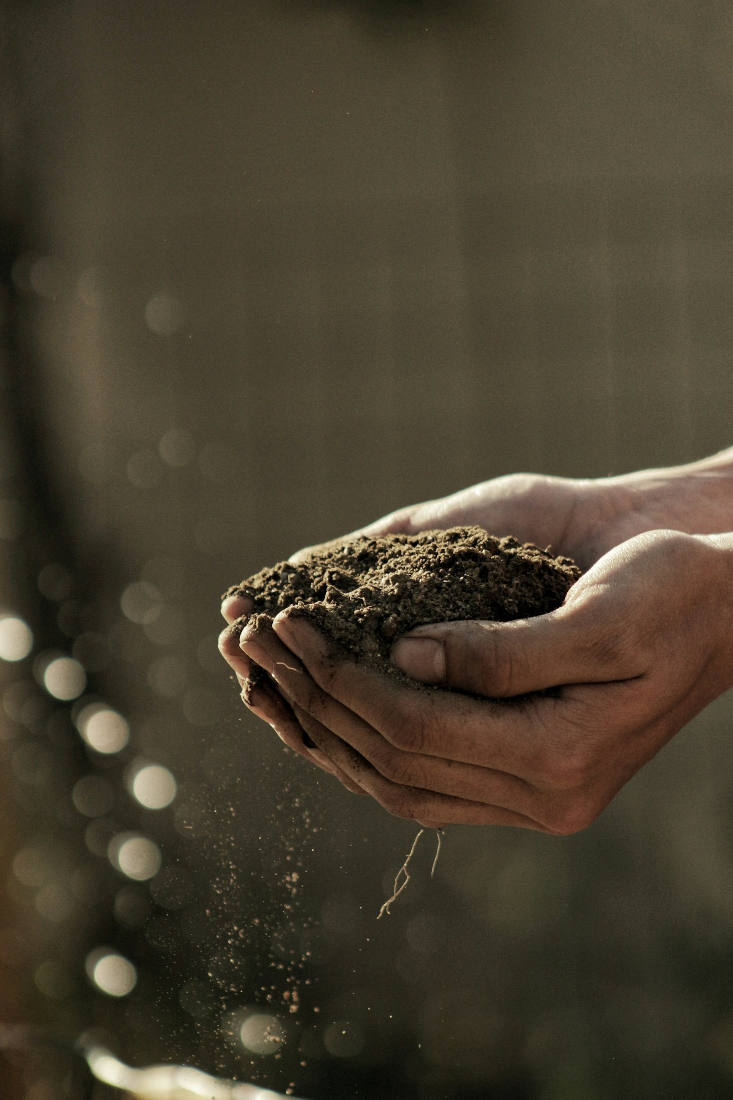 La importancia de la ecología en la agricultura actual