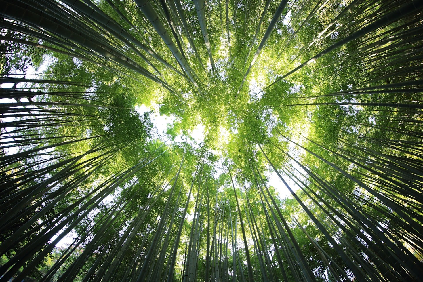 BIOMELIA LAB & BEYOND: liderando el cambio hacia una agricultura verde